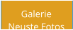 Galerie Neuste Fotos